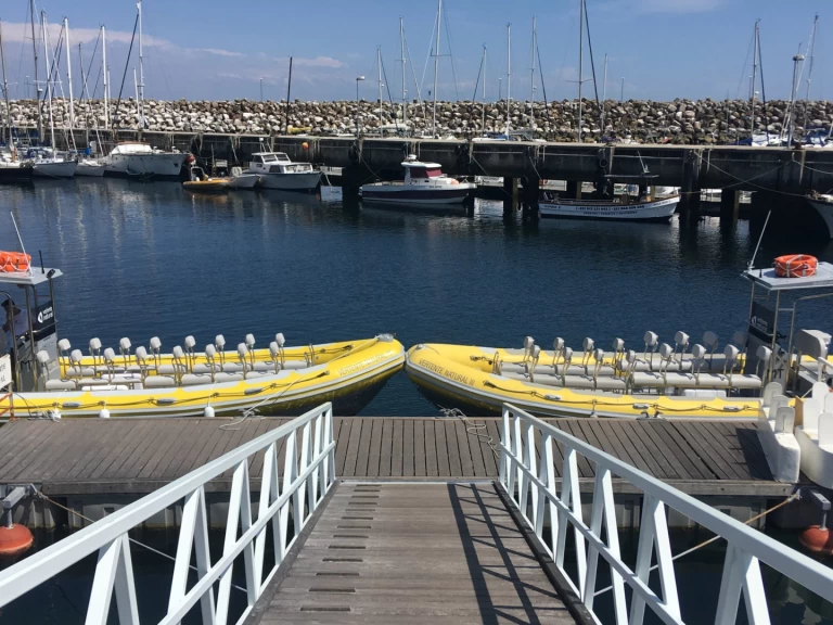 Vanguard TX 860 a louer à Sesimbra