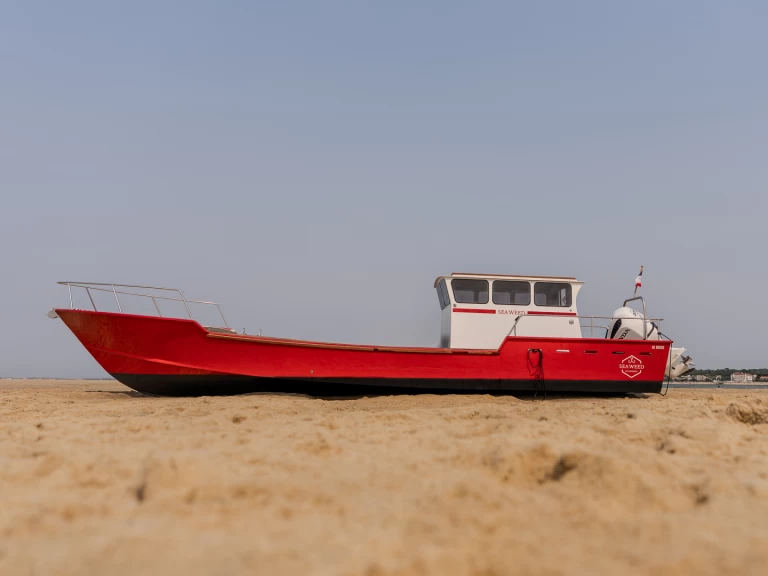 Location Bateau à moteur à Bélisaire - Seaweed CHALAND 12m