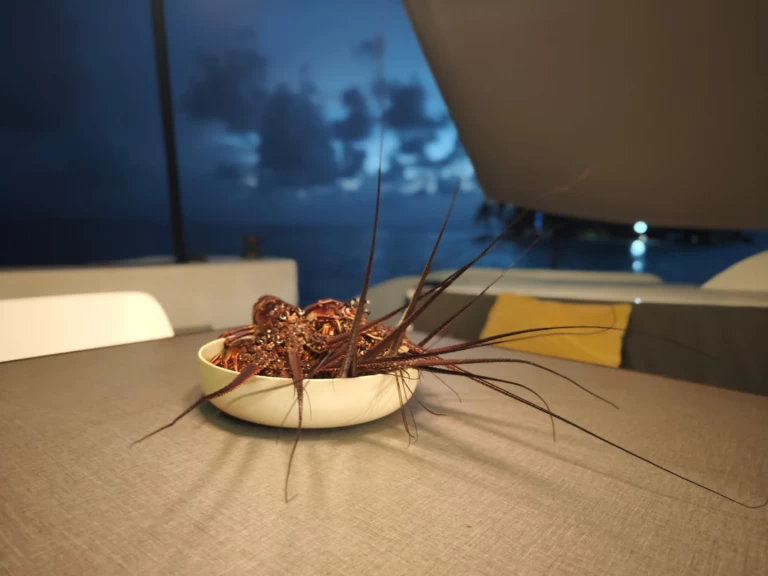 Location Catamaran Oyacht avec permis