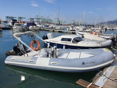 Noleggio Gommone a Gênes – Evinrude E40DLP