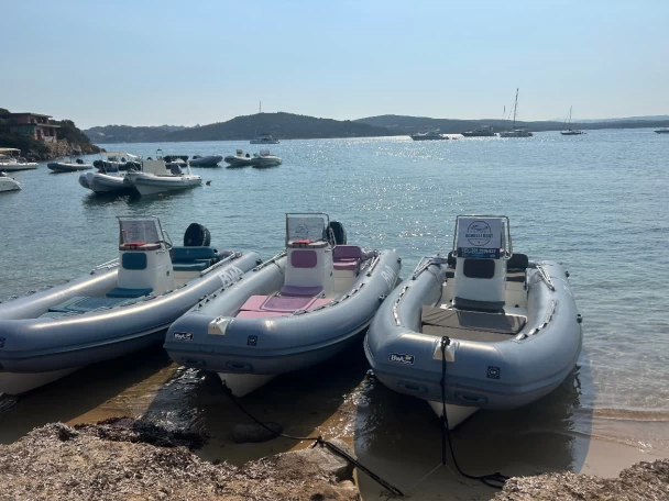 Location Semi-rigide Bwa avec permis