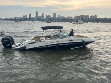 Sea Ray Sea Ray SDX 290 charter bareboat or skippered in  Mumbai