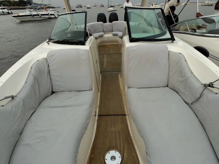 Sea Ray Sea Ray SLX 300 a louer à Mumbai