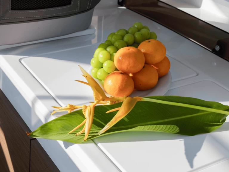 Location Bateau à moteur Jeanneau avec permis