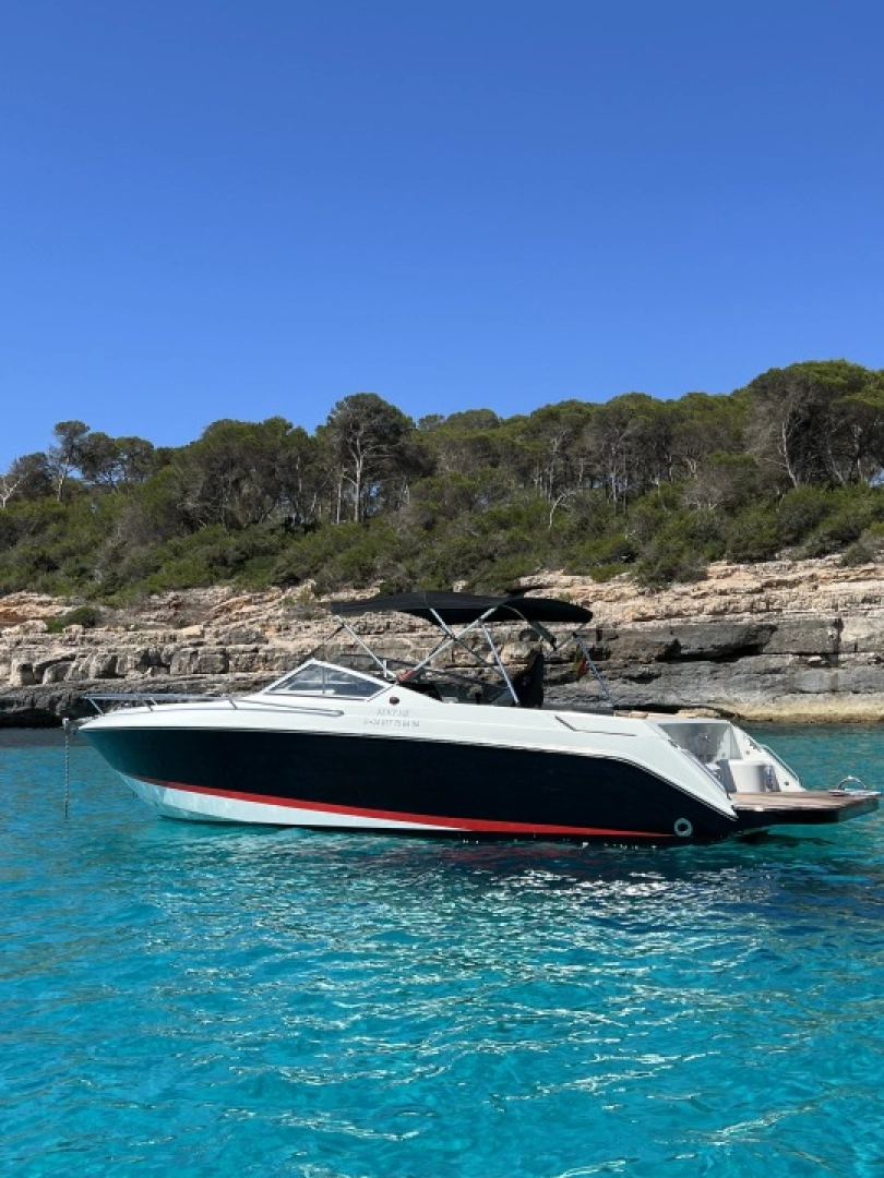 Location Bateau à moteur à Cala d'Or - Wellcraft OPEN