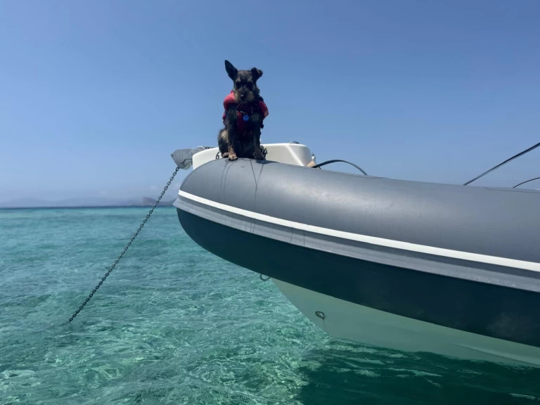 Bwa 24 Sporty RIB a louer à Ibiza (Ville)