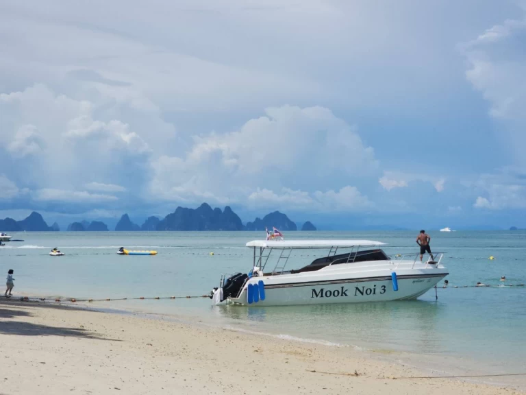 Location Bateau à moteur Custom avec permis