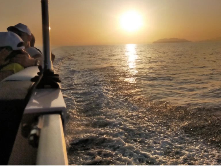 Location à Milazzo - Swiss-Boat/Italy Boat Funlounger 8.5 sur SamBoat