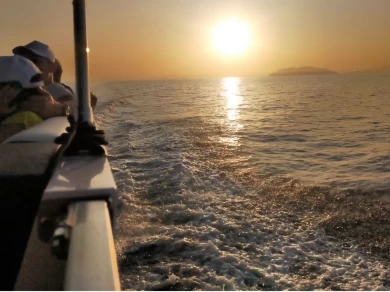 Noleggio a Milazzo – Swiss-Boat/Italy Boat Funlounger 8.5 su SamBoat