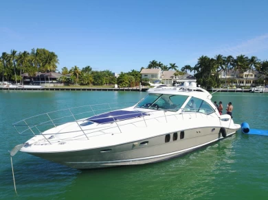 Noleggio barche Sea Ray Sea Ray 480 Sundancer a Miami Beach su Samboat