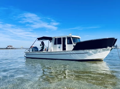 Beacher Beacher 840 charter bareboat or skippered in  France