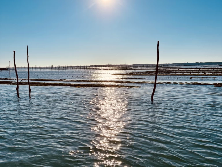 Location à France - Beacher Beacher 840 sur SamBoat