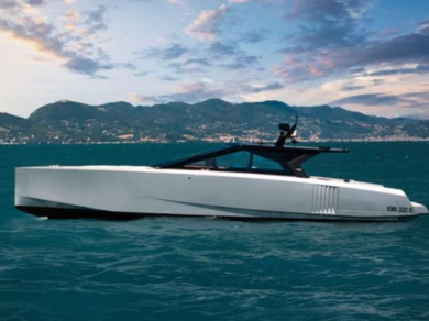 Noleggio Barca a motore con o senza skipper WALLY YACHTS a Portofino
