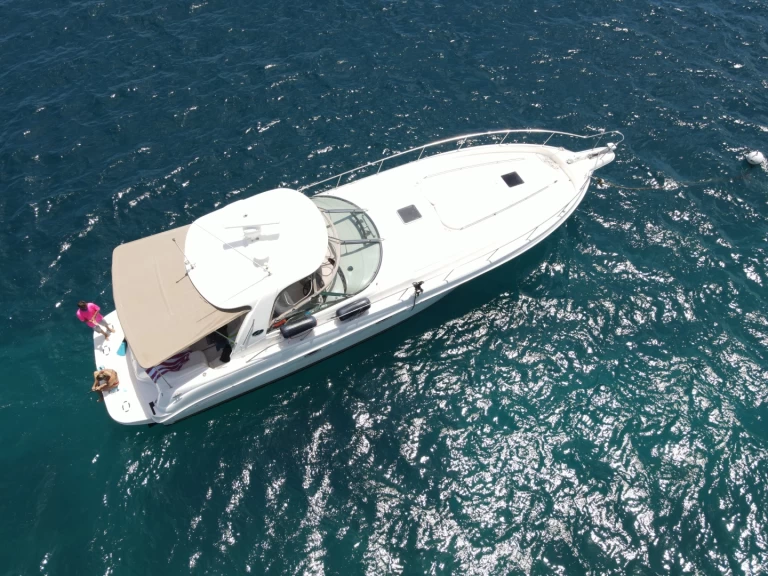 Location bateau Tortola pas cher Sea Ray 525 Sundancer