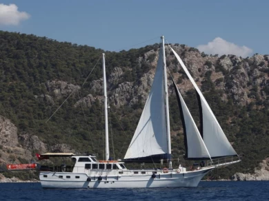 Noleggio Barca a vela Custom Made con patente nautica