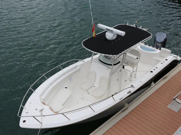 Location Bateau à moteur SEAFOX avec permis