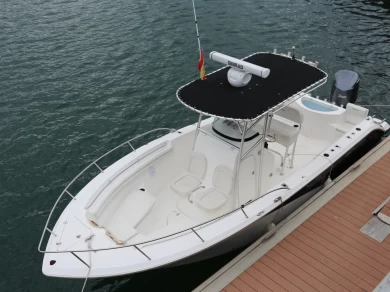 Alquiler Lancha SEAFOX con o sin  título de navegación
