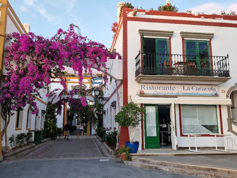Louez un Jeanneau Sun Odyssey 44i à Puerto de Mogán