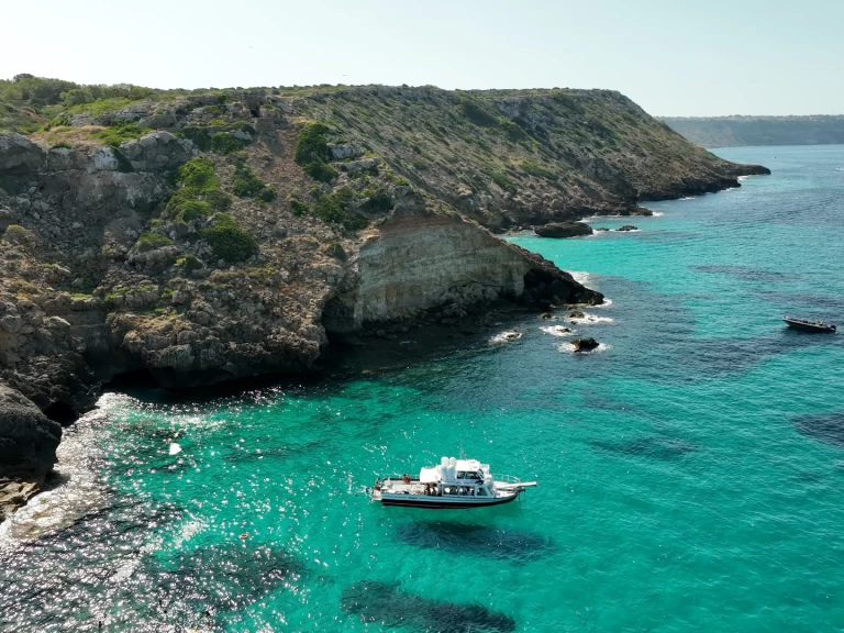 Location à s'Arenal - palma 1 sur SamBoat