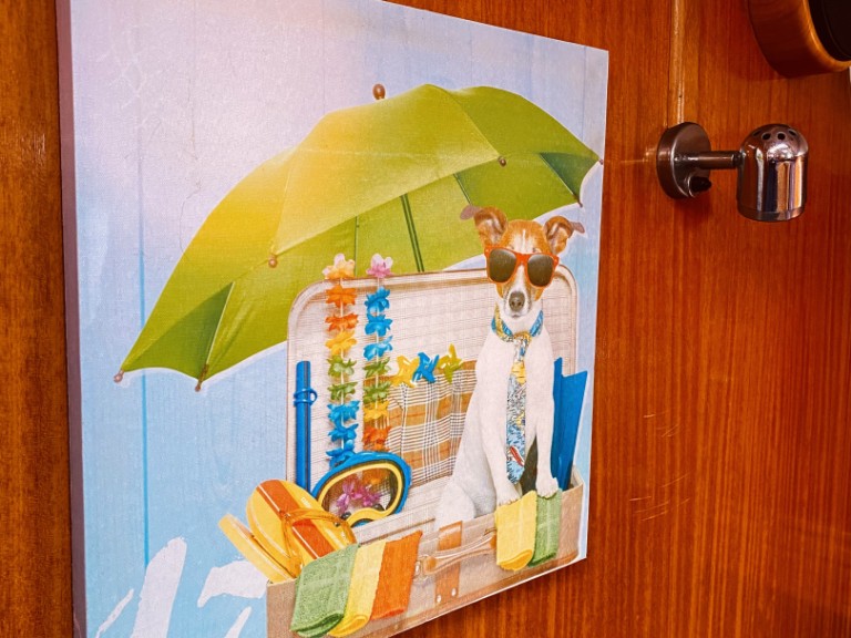 Location à Lefkáda - Bavaria Bavaria 42 Cruiser sur SamBoat