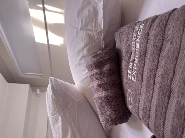 Location Catamaran Lagoon avec permis