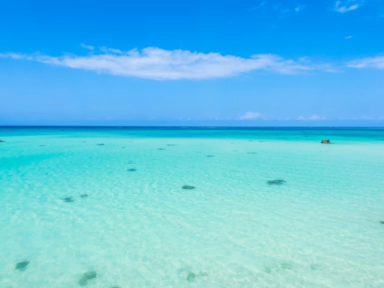 Louer Catamaran avec ou sans skipper Custom Made à Kendwa