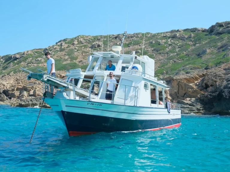 Louez un palma 1 à s'Arenal