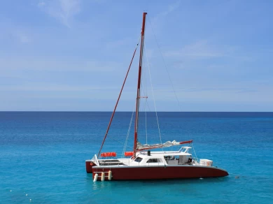 Wynajmij Custom CUSTOM MADE w Montego Bay