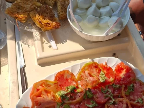 Location Bateau à moteur à Sorrento - Tirrenia Viveur 28