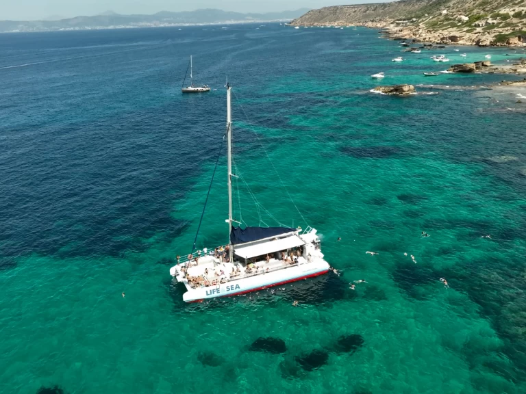 Louez un Drassanes Dalmau one of a kind à Playa de Palma