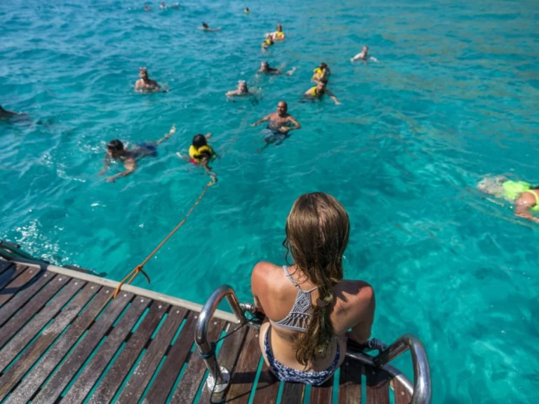 Louez un palma 1 à s'Arenal