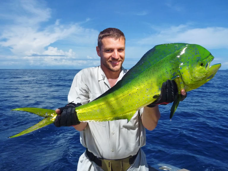 Location Yacht à Punta Cana - Custom Made Custom made