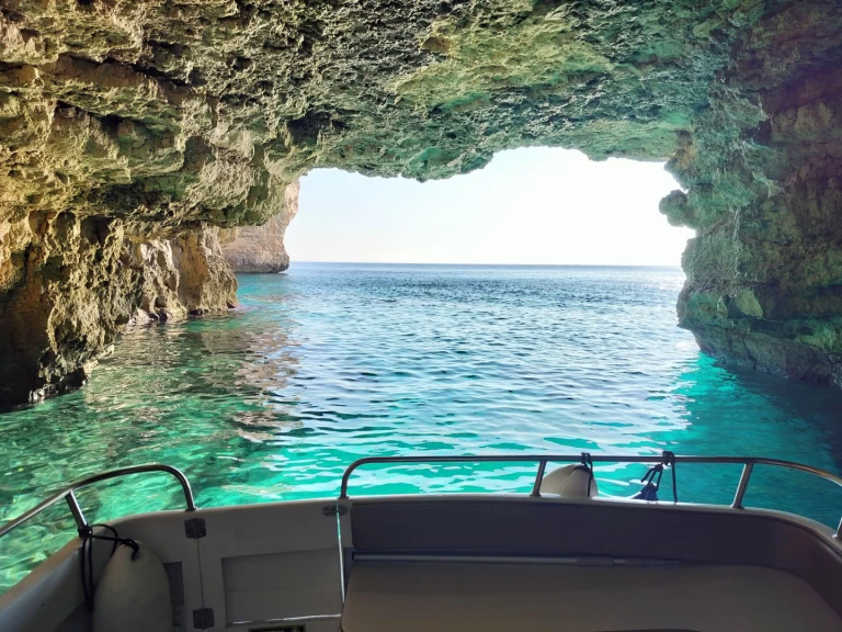Location à Monde - Chadron sportfisher sur SamBoat