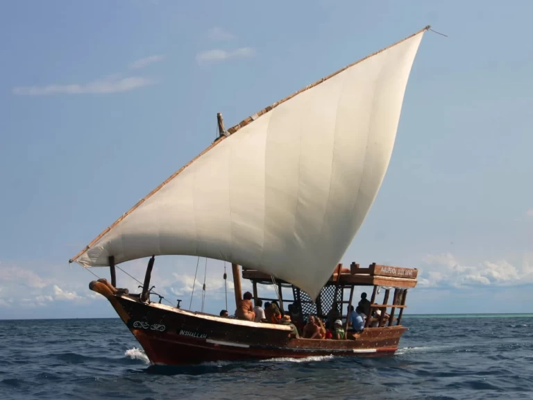 Custom 2018 a louer à Zanzibar