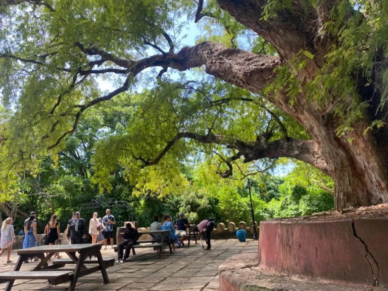 Location bateau Custom Custom à Zanzibar sur Samboat