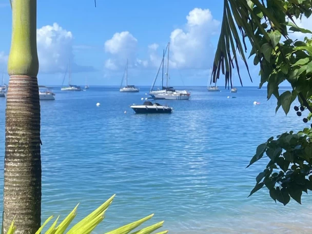 Location Bateau à moteur à Deshaies - Pacific Craft Pacific Craft 630