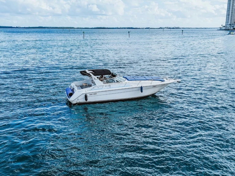 Location Bateau à moteur Sea Ray avec permis