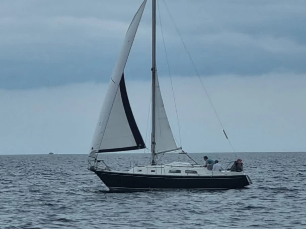 Location Voilier à Port de Sainte-Marine - Contest contest 29