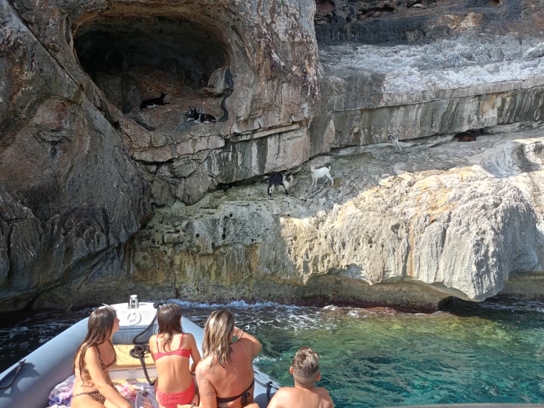 Location à Cala Gonone - Nuova Jolly King 750 sur SamBoat