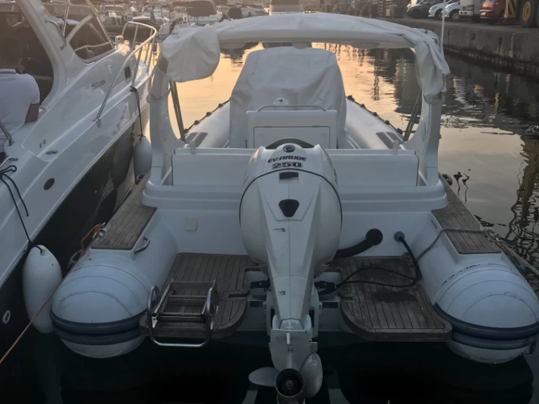 Location Semi-rigide Pholas avec permis