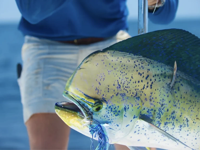 Louez un HCB 53 Suenos  à Providenciales