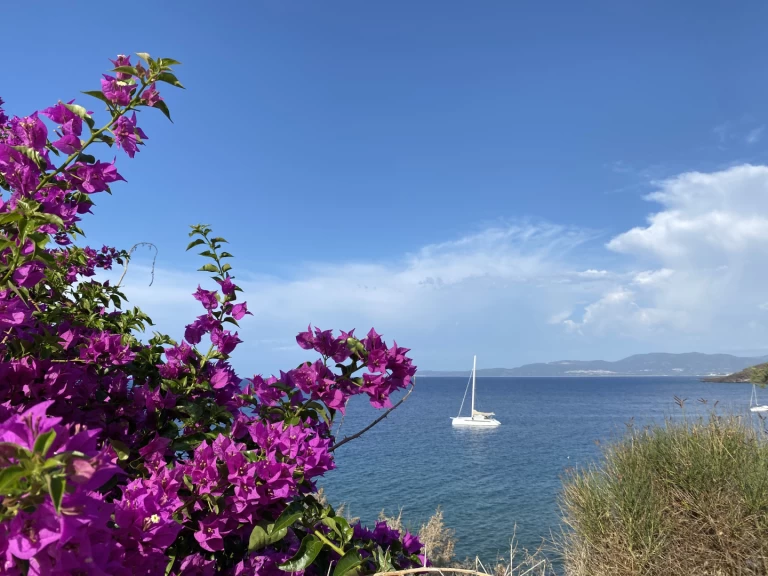 Location à Pianottoli-Caldarello - ALIBI ALIBI 54 sur SamBoat