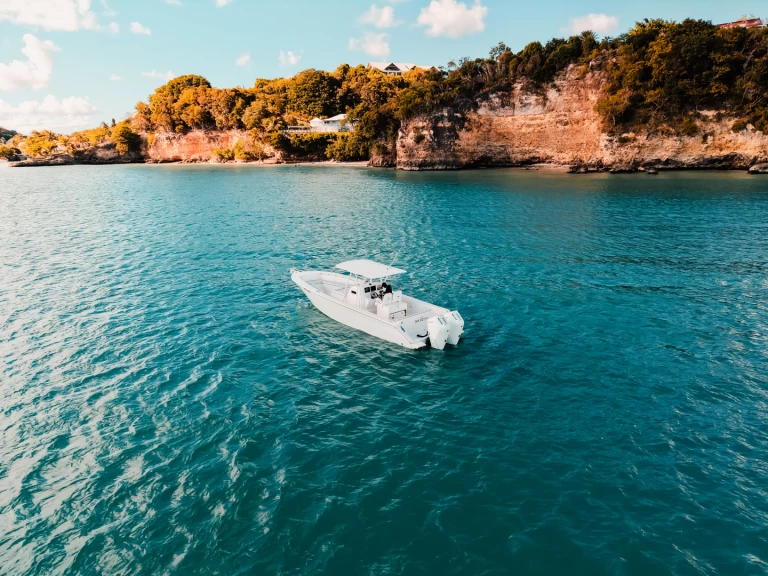 Location Bateau à moteur à Le Gosier - Forboat Forboat 34 Open