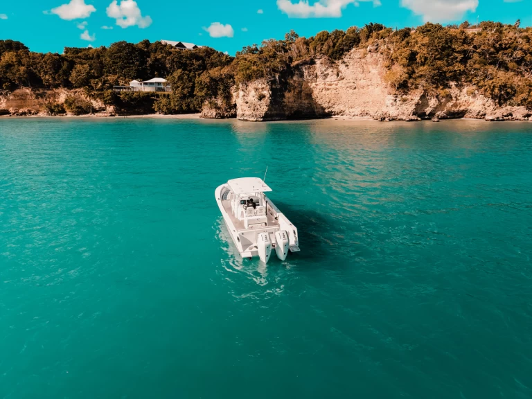 Location Bateau à moteur Forboat avec permis