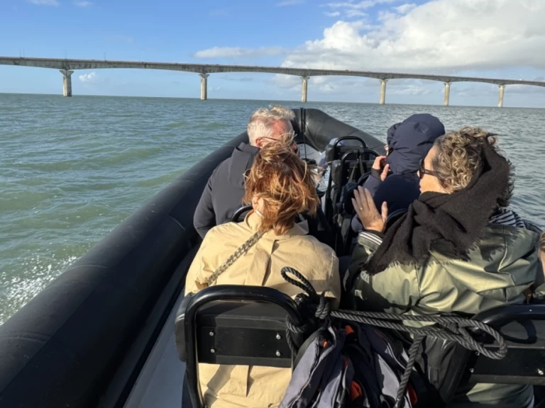 Location bateau Narwhal sp900 à La Rochelle sur Samboat