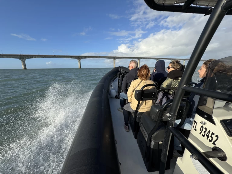 Location Semi-rigide Narwhal avec permis