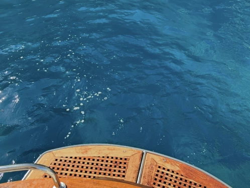 Louez un Apreamare Apreamare 7,5 à Sorrento