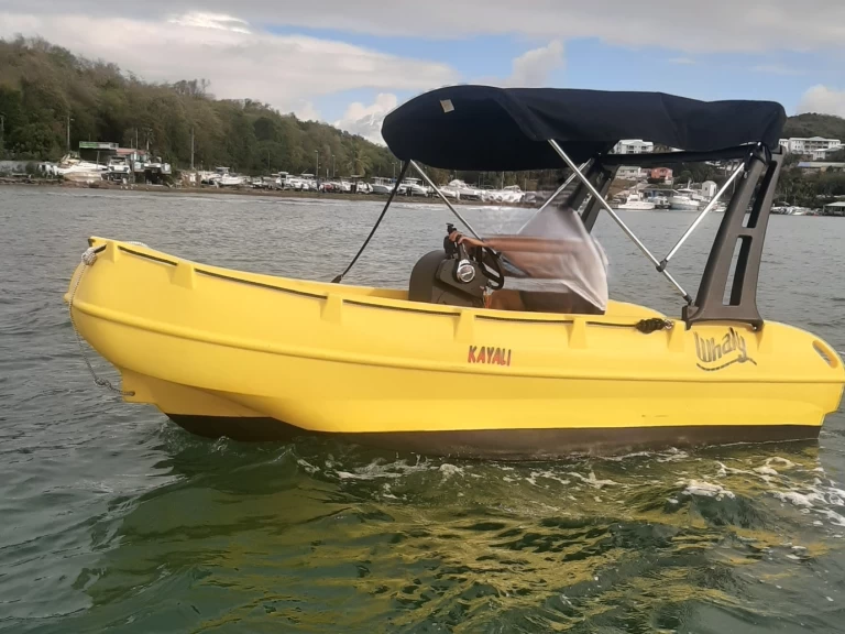 Location Bateau à moteur Whaly avec permis