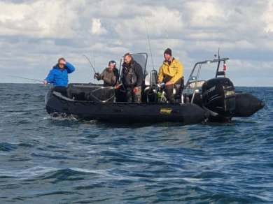 Wynajem Łódż półsztywna Sillinger z patentem 