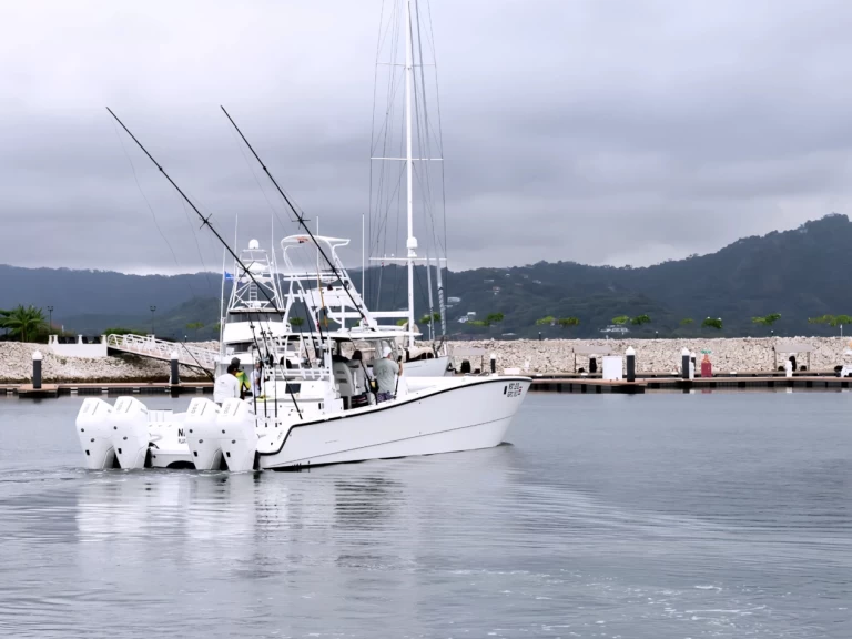 Louez un Freeman Freeman 47FT à Flamingo